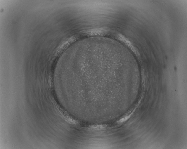 X0000072540161200608041631