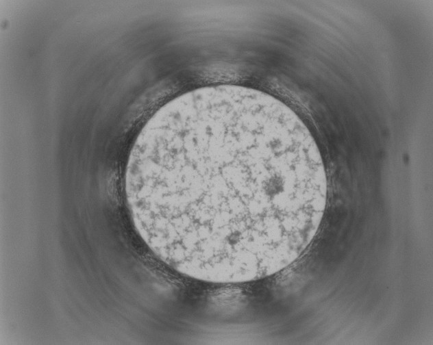 X0000072540162200608041631