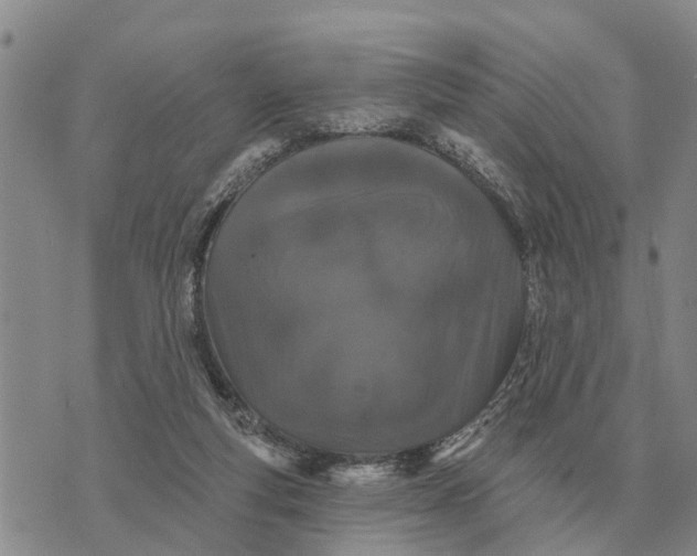 X0000072540163200608041631