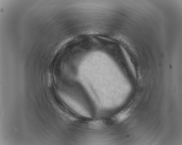 X0000072540164200608041631