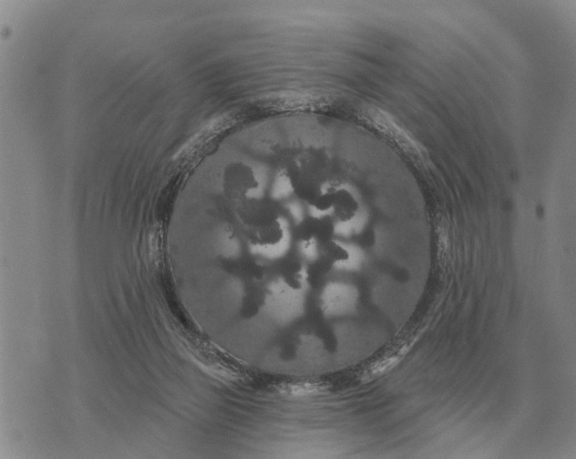 X0000072540165200608041631