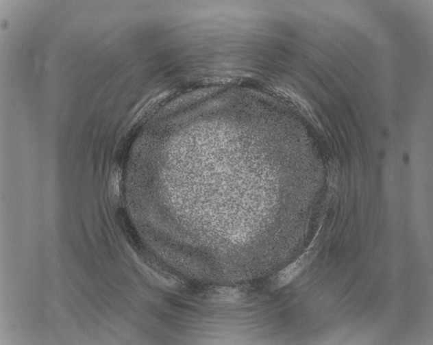 X0000072540166200608041631