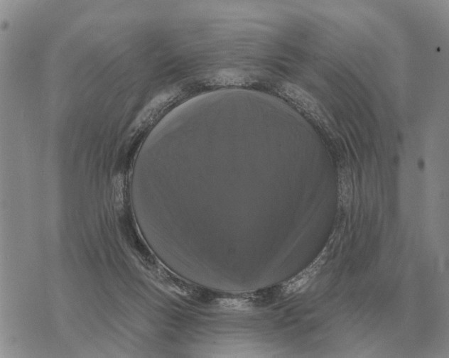 X0000072540167200608041631