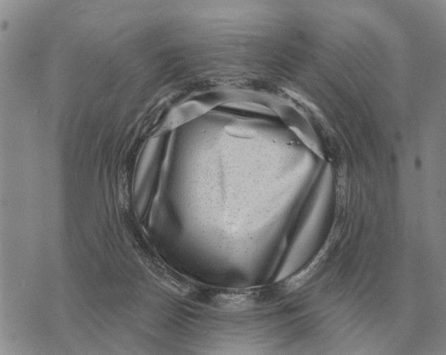 X0000072540170200608041631