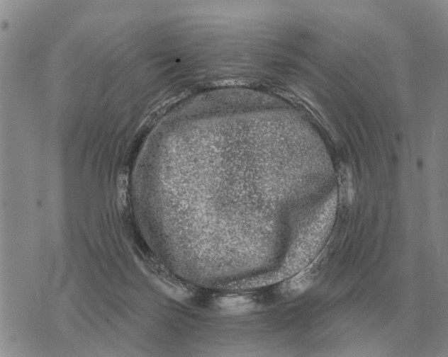 X0000072540171200608041631