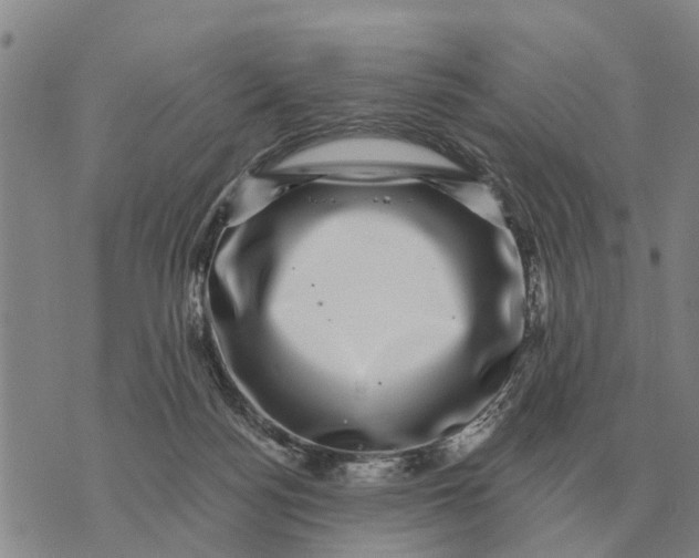 X0000072540172200608041631