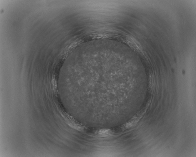 X0000072540173200608041631