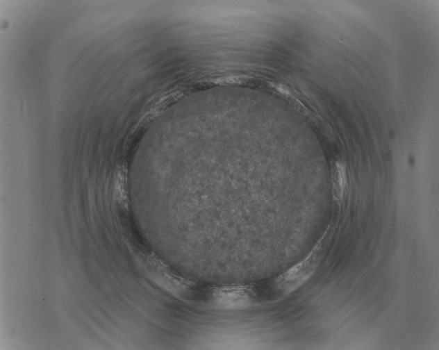 X0000072540175200608041631