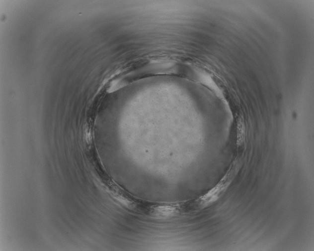 X0000072540176200608041631