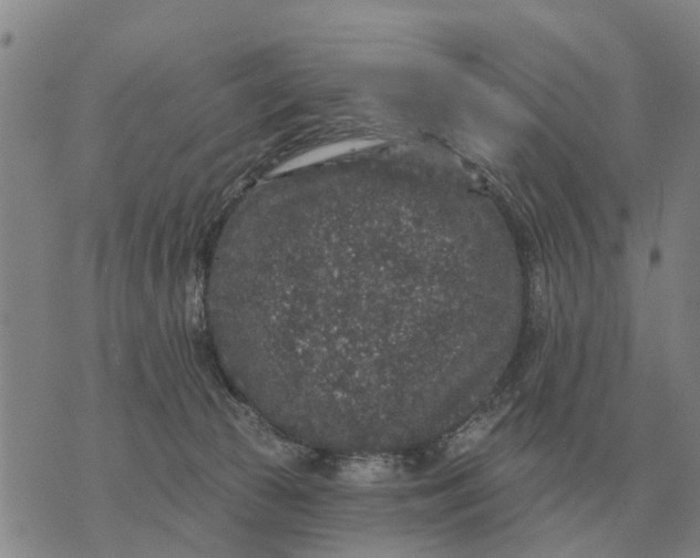 X0000072540177200608041631