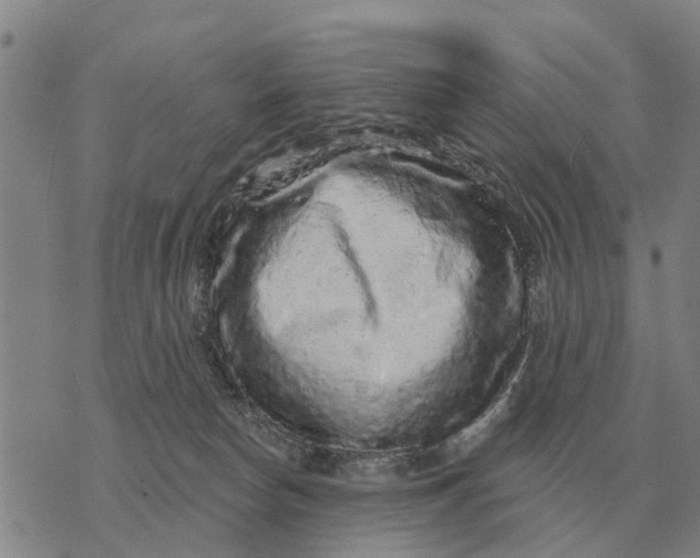 X0000072540178200608041631