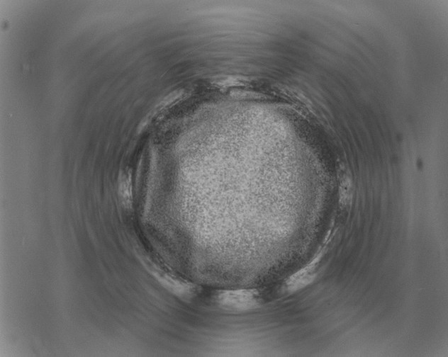 X0000072540179200608041631