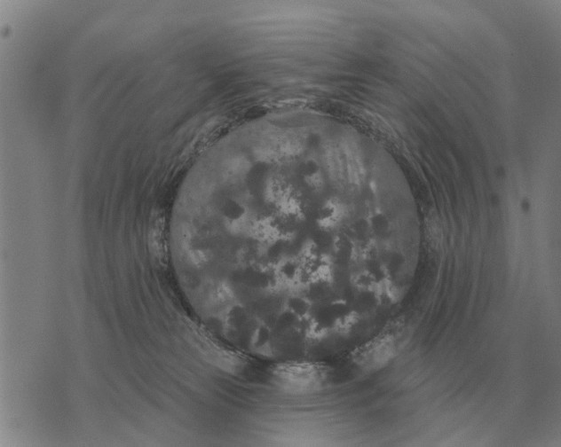 X0000072540181200608041631