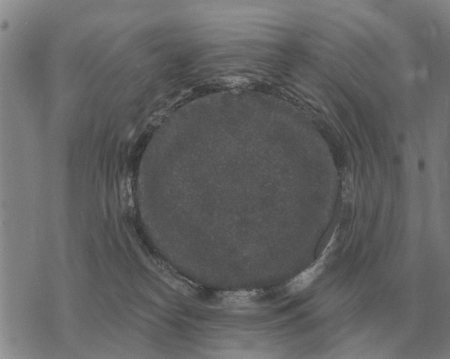 X0000072540182200608041631