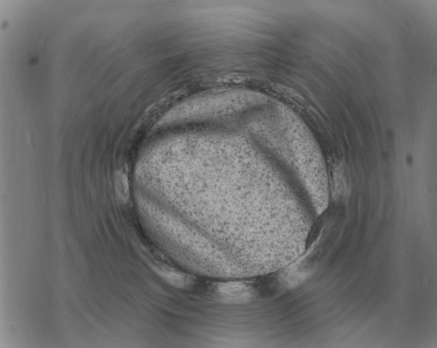 X0000072540183200608041631