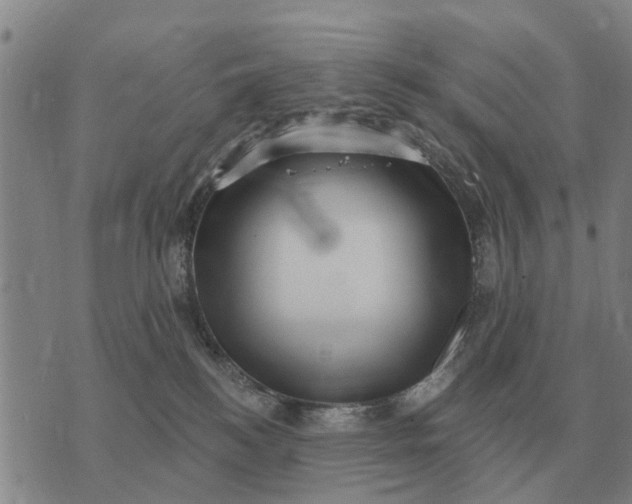 X0000072540184200608041631