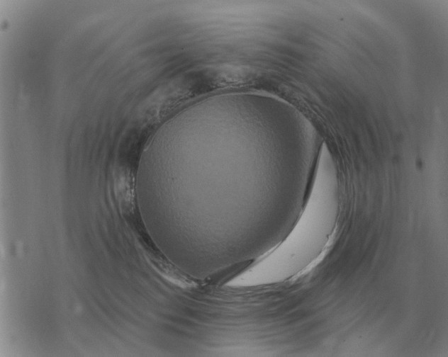 X0000072540186200608041632