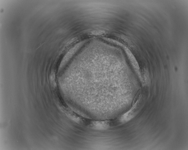 X0000072540187200608041632