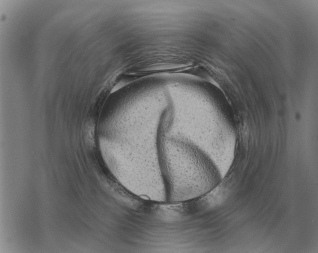 X0000072540188200608041632