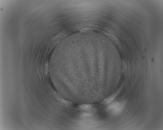 X0000072540189200608041632