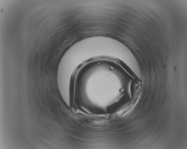 X0000072540190200608041632