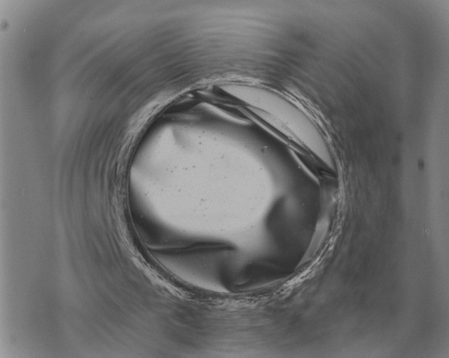 X0000072540193200608041631