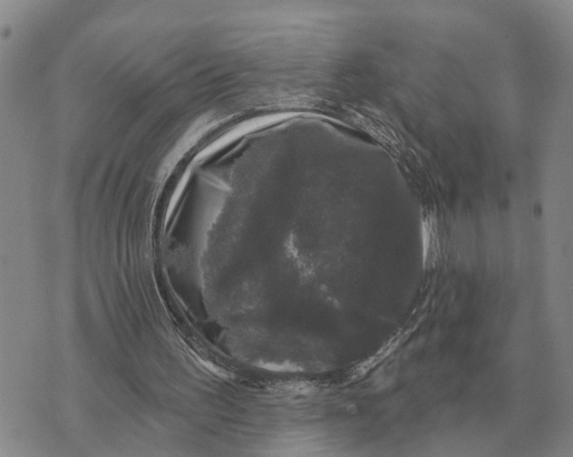 X0000072540195200608041631