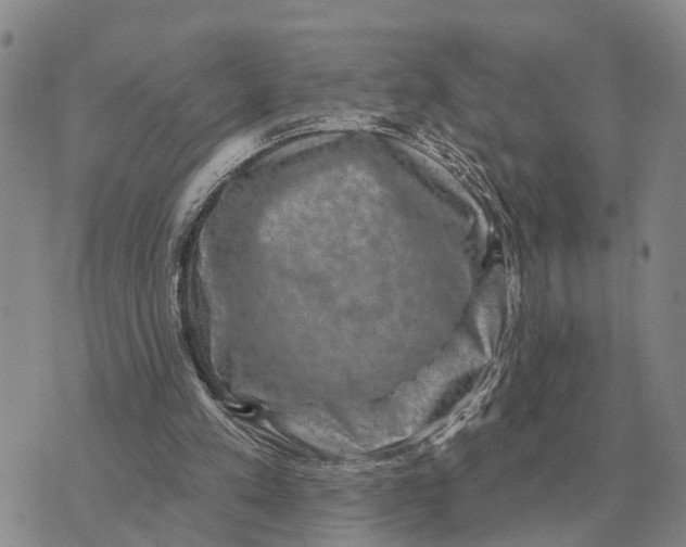 X0000072540197200608041631