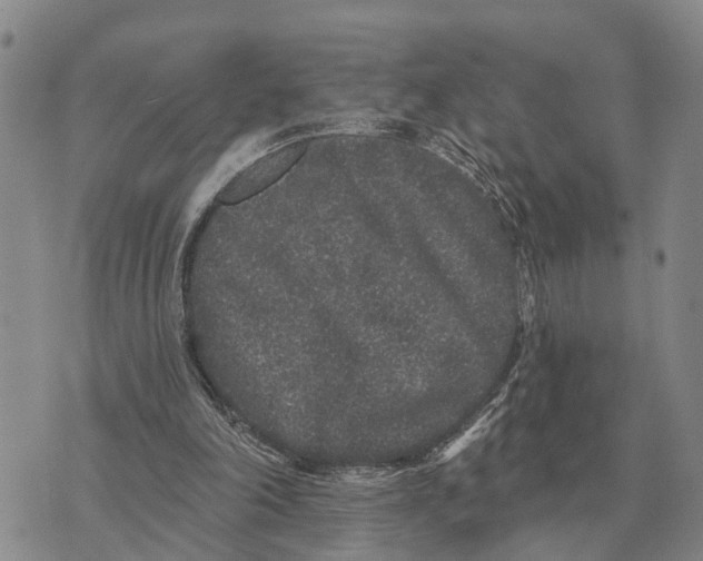 X0000072540198200608041631