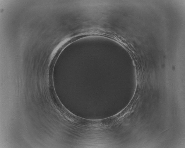 X0000072540200200608041631