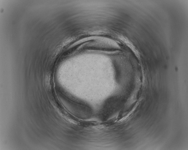 X0000072540201200608041631