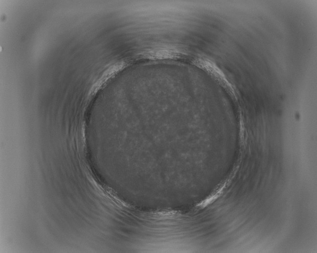 X0000072540202200608041631