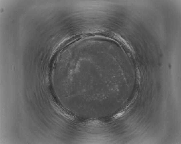 X0000072540203200608041631