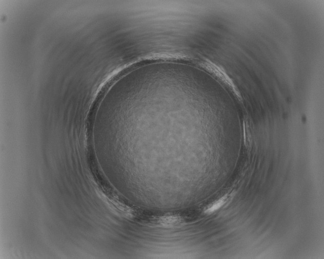 X0000072540204200608041631