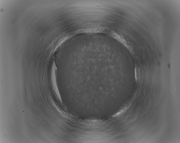 X0000072540205200608041631