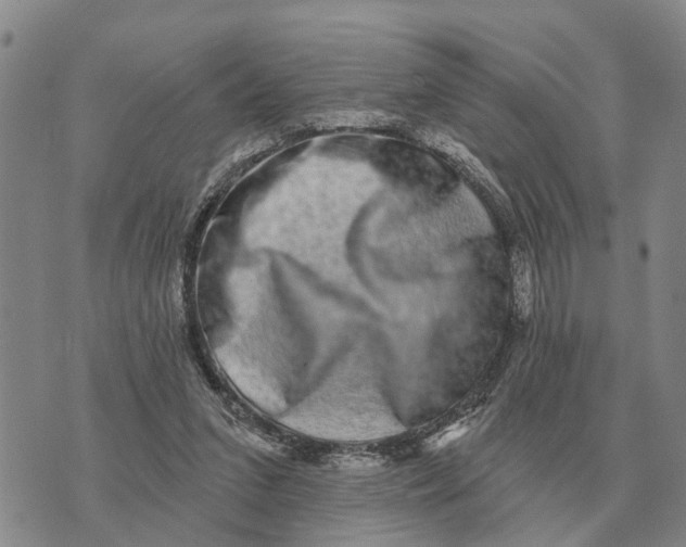 X0000072540207200608041631