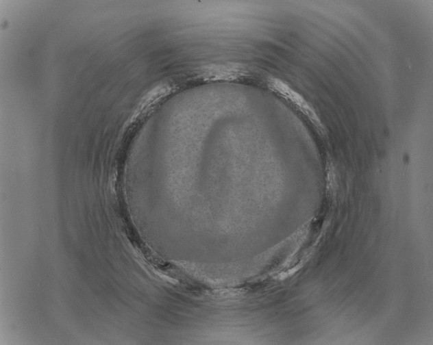 X0000072540209200608041631