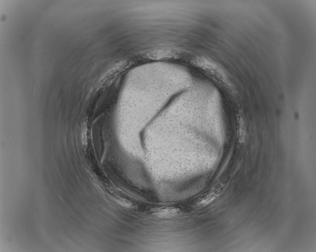 X0000072540210200608041631