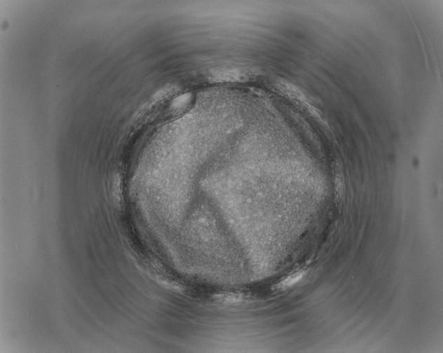 X0000072540211200608041631