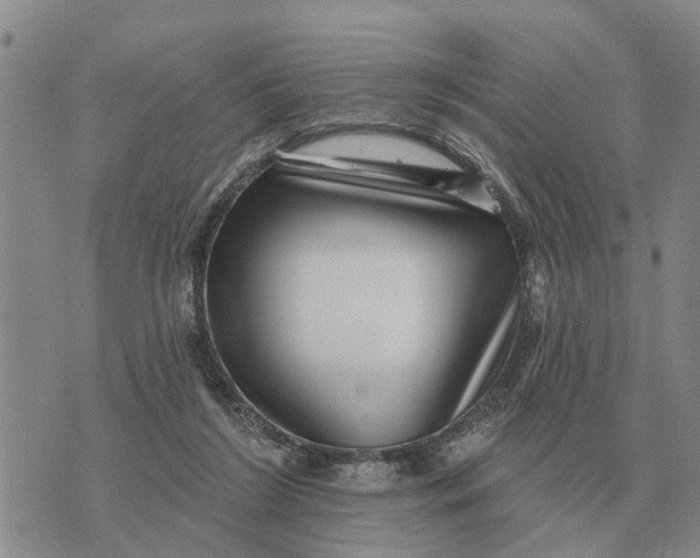 X0000072540212200608041631