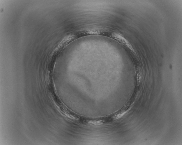 X0000072540213200608041631