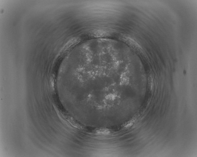 X0000072540214200608041630