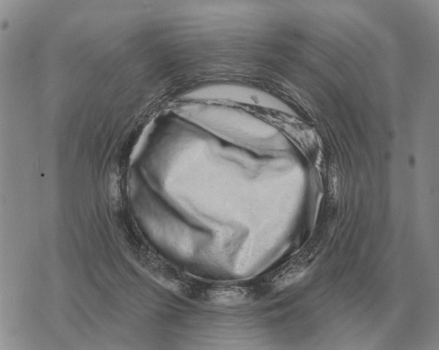 X0000072540215200608041630