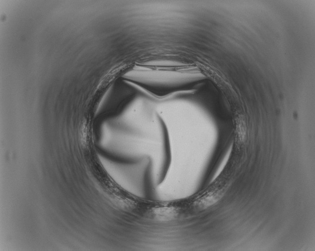 X0000072540216200608041630