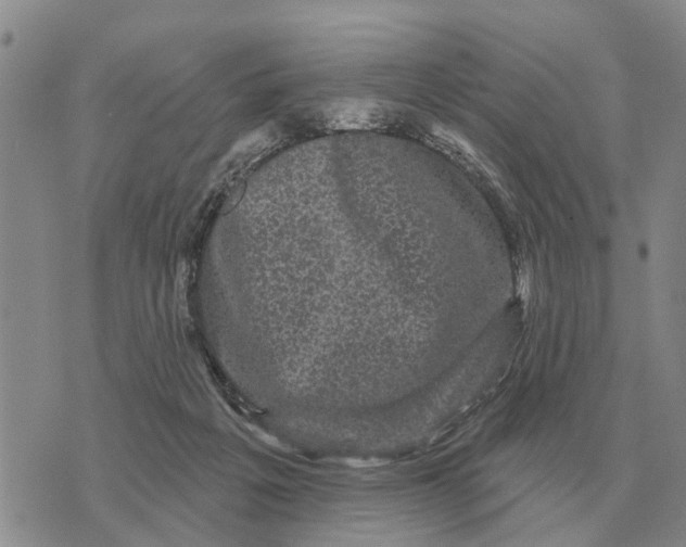 X0000072540217200608041630