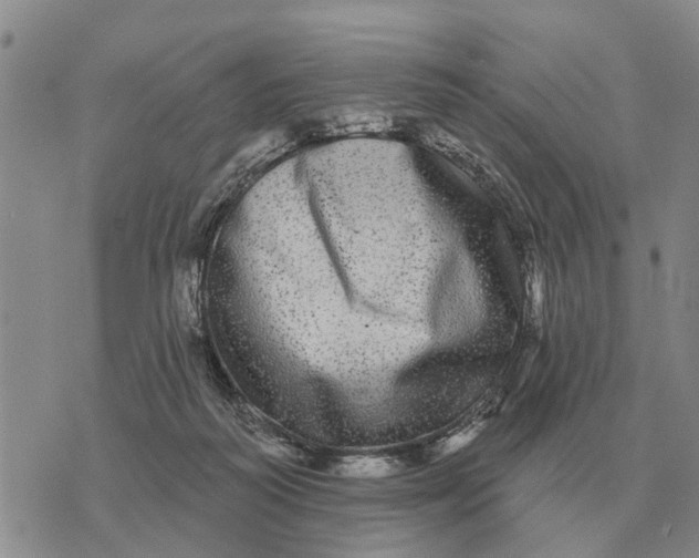 X0000072540218200608041630