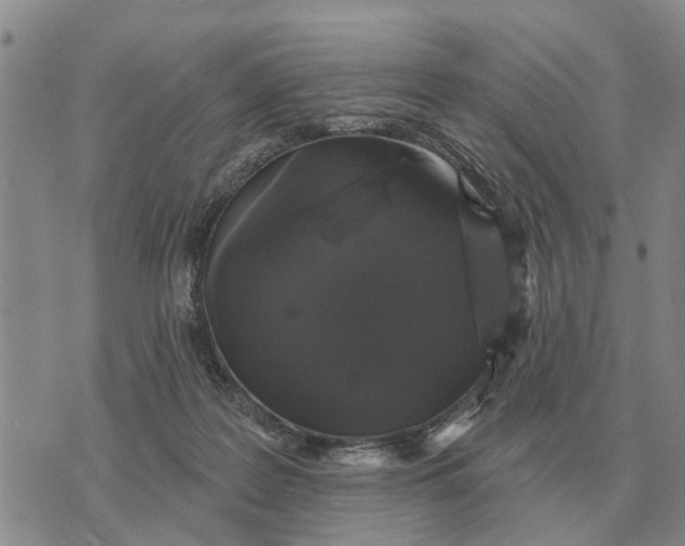 X0000072540219200608041630