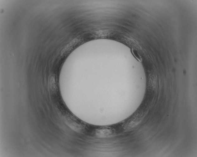 X0000072540220200608041630