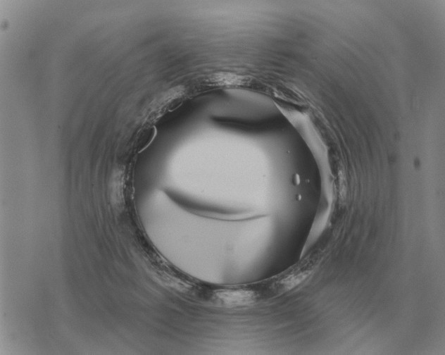 X0000072540221200608041630