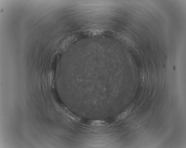 X0000072540222200608041630